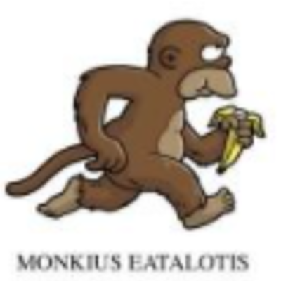 Timeline: la evolución del humano