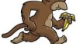 Timeline: la evolución del humano