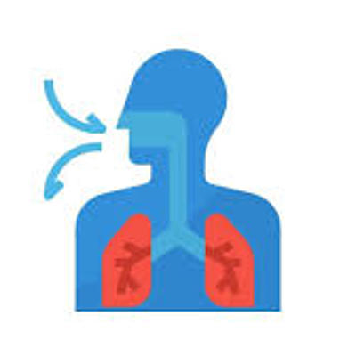 Timeline: Trabajo final Biologia Cuarto periodo