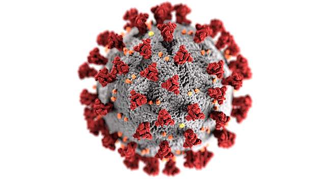Proceso en el cual nos afecta el coronavirus
