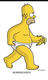 homo sapiens sapiens