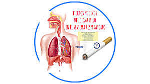 Taller 1 Fumar y sus consecuencias