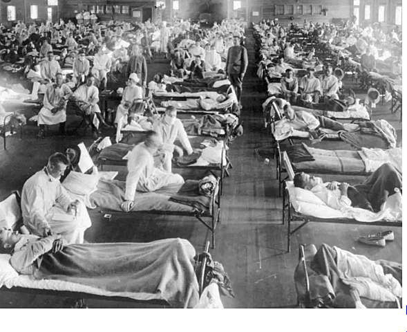 spanish influenza -2 (social / ecinomical)