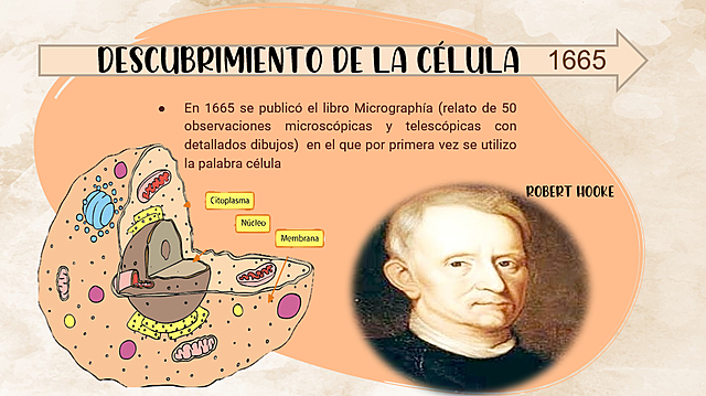 Descubrimiento de la célula