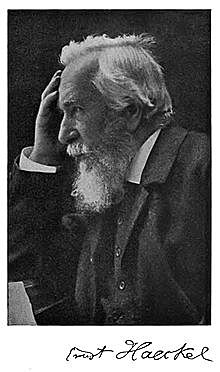 Creación del taxón denominado "Moneres"