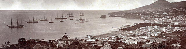 portugal's discovery