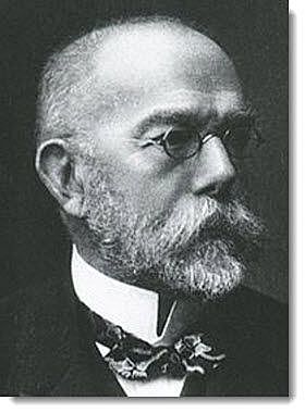 Julius Richard Petri