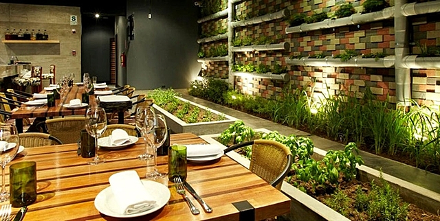 acciones y actividades sostenibles