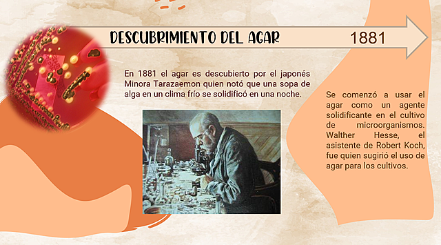 Descubrimiento del agar