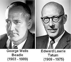 Edward Tatum y Joshua Lederberg