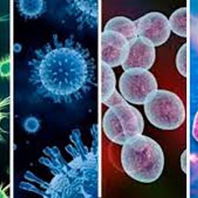 Timeline: HISTORIA DE LA MICROBIOLOGÍA