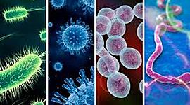 Timeline: HISTORIA DE LA MICROBIOLOGÍA