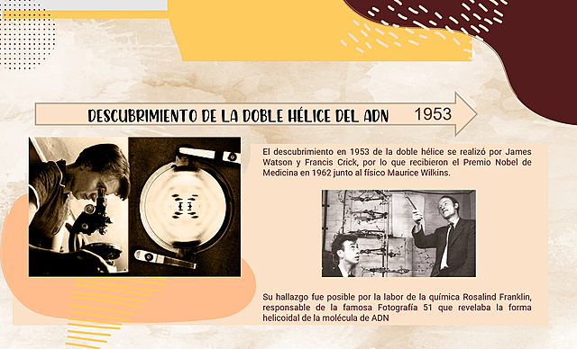 Descubrimiento de la doble hélice del ADN