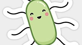 Timeline: Historia de la Microbiología