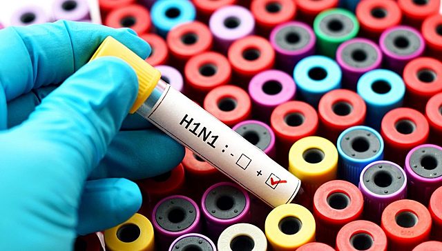 Nacimiento de mi primo, (H1N1: Pandemia de gripa)