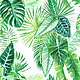 Tropical pattern