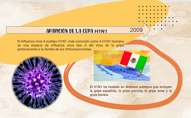 Aparición de la cepa H1N1