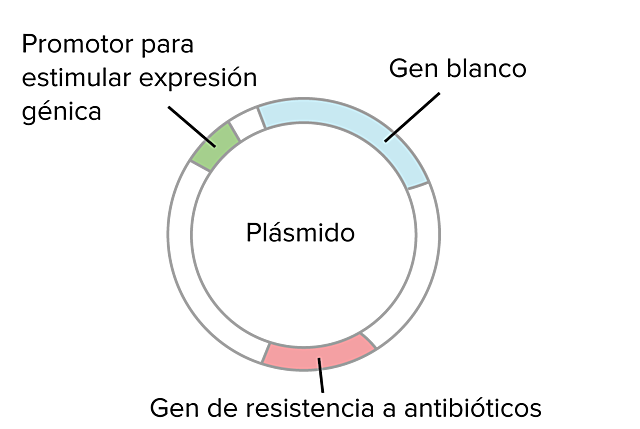 ADN libre e independiente