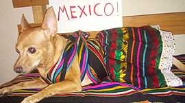 Timeline: los principales filósofos y sus teorías sobre la Ética