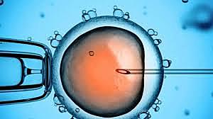 Descubran la carecterizacion in vitro