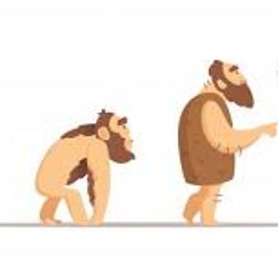 Timeline: Línea de tiempo de la evolución del ser humano.