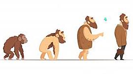 Timeline: Línea de tiempo de la evolución del ser humano.