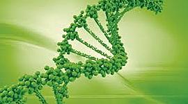 Timeline: Historia moderna de la Biología