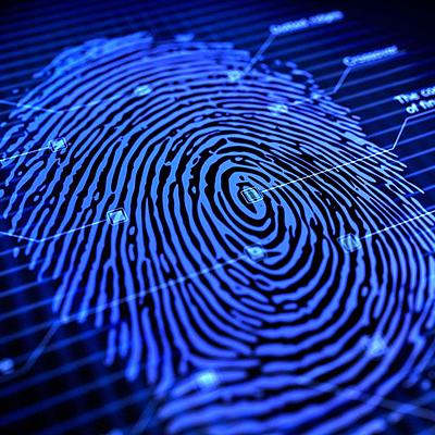 Timeline: Fingerprint Timeline