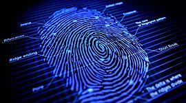 Timeline: Fingerprint Timeline