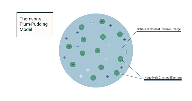 Plum pudding model