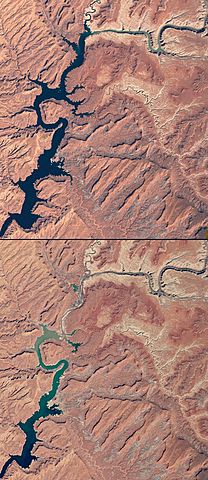 Asfixiado por la sequía