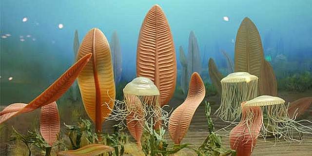 Primeres formes de vida