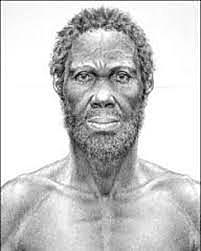 homo sapiens sapiens