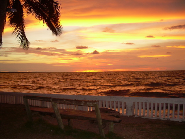 me fui a viajar a medellin, coveñas, tolu, esdecir a la costa