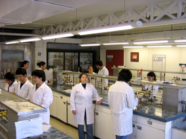 haciendo mis pasantias