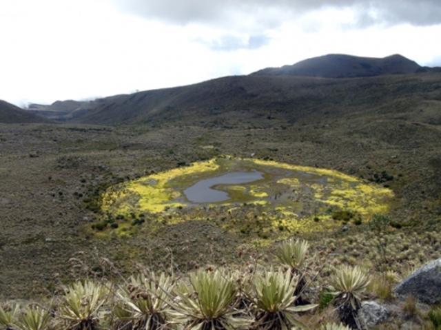 viaje con mi familia al paramo de sumapaz