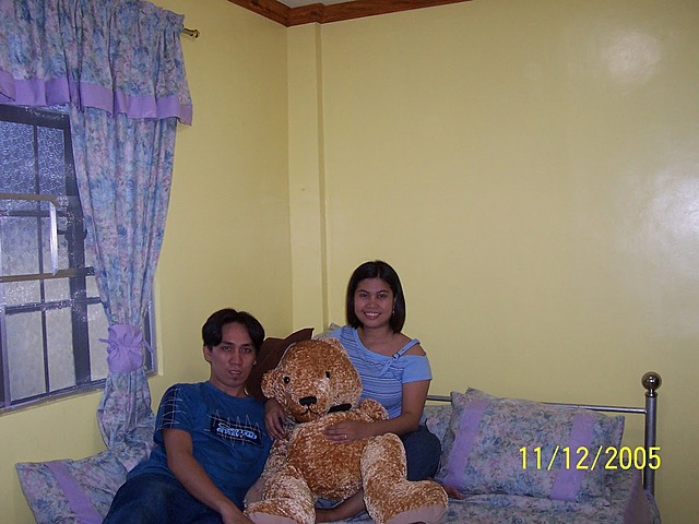 Willow the teddy bear