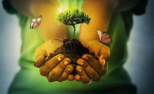 primeres formes de vida