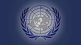 Timeline: Evolución y características de los organismos que interfieren en los negocios internacionales.