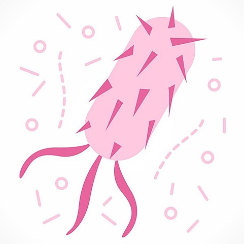 ·˚➳ 5.Virus Informáticos.