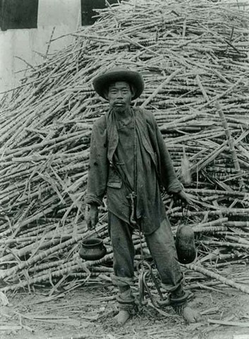 Ley general de las migraciones o Ley China