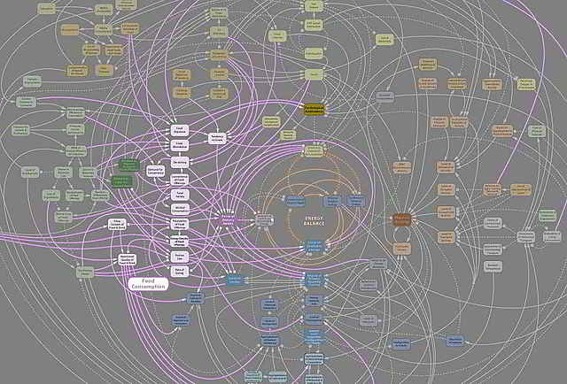 La teoría general de los sistemas de Ludwig Von