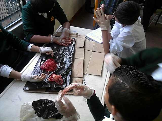 Día de experimentos en el colegio