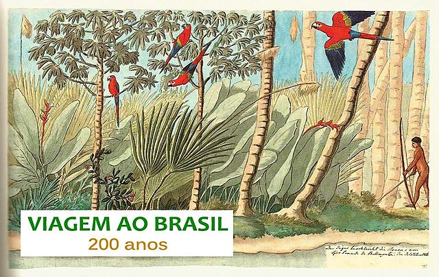 Expedição científica