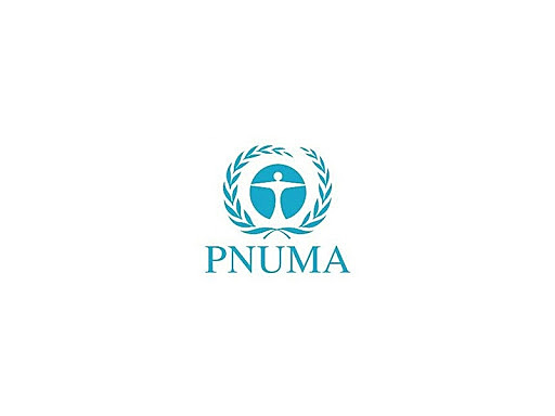 PNUMA