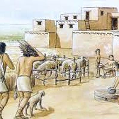 Timeline: La sédentarisation