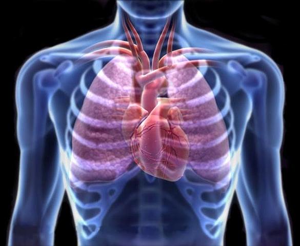 Dr. A. Arroyo y Dr. Angel Ventura Neri