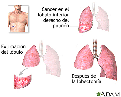 Dr. Dario Fernandez Fierro