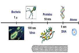 Tecnología de los materiales y de las estructuras en la que el orden de magnitud se mide en nanómetros, con aplicación a la física, la química y la biología