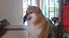 Timeline: Trabajo de Orientación